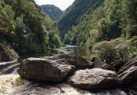 Serenity Reach, Franklin River, Franklin-Gordon Wild Rivers National Park, Tasmanian Wilderness World Heritage Area.