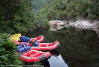 Franklin River, Franklin-Gordon Wild Rivers National Park, Tasmanian Wilderness World Heritage Area.
