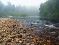 Lower Franklin River, Franklin-Gordon Wild Rivers National Park, Tasmanian Wilderness World Heritage Area.