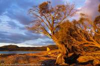 Freycinet National Park, Tasmania