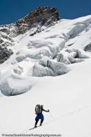 INDIA, Uttaranchal, Govind National Park. Ski mountaineer traverses glacier beneath Kalanag peak (6387m).