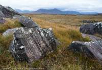 Gneiss boulders in blanket peatland, Connemara, County Galway, Ireland