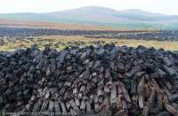 Peat stacked to dry after harvesting (mining), Connemara, County Galway, Ireland