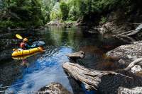 Enkidu Gorge, Jane River, Franklin-Gordon Wild Rivers National Park, Tasmanian Wilderness World Heritage Area.