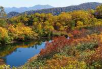 Autumn colours, Numa-Meguri trail, Kogen Onsen, Daisetsuzan National Park, Hokkaido, Japan.