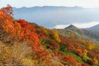 Autumn colours, Ginsendai, Daisetsuzan National Park,  Hokkaido, Japan.
