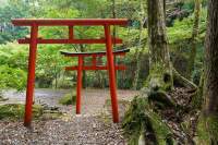 Torii gates at Funatama-jinja shrine, Kumano Kodo pilgrimage route, Kii Peninsula, Japan.
