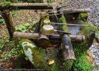 Stone wash basin (tsukubai) and brass cups for ritual ablutions at Funatama-jinja shrine, Kumano Kodo pilgrimage route, Kii Peninsula, Japan.