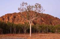 AUSTRALIA, Northern Territory, Keep River National Park. Woodland below sandstone escapment, dawn.