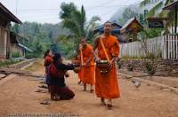 LAOS, Luang Prabang, Muang Ngoi Neua. Young monks collecting alms from devout Buddhists at dawn.