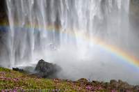 LAOS, Attapeu, Bolaven Plateau. Tad Taylick Seua waterfall cascades over basalt lava flow escarpment, with rainbow.