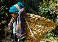 NEPAL, Mugu. Young boy with porter basket.