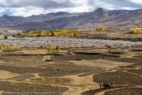 NEPAL. Trees in autumn colour amongst harvested fields on floor of broad valley, Mustang.