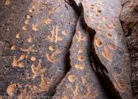 Aboriginal rock engraving (petroglyphs), featuring Emu footprints. Mutawintji National Park