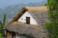 NEPAL. Grass-roofed house detail, lower Arun valley, Makalu Base Camp Trek.