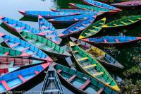 NEPAL. Brightly-painted doongas (boats) moored at edge of Phewa Tal (Phewa Lake).