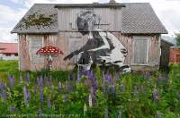 NORWAY, Nordland. Lofoten Islands, Vestvagoy, Borg. Street art on roadside shed, by Norwegian graffiti artist Dolk.