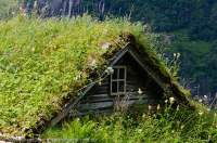 NORWAY, Northern fjords, Geirangerfjord. Skagefla abandoned mountain farm, with turf-roofed buildings. Geirangerfjord is part of the Unesco-listed Western Fjords World Heritage site.