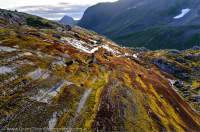 NORWAY, Northern fjords, Sunnmore Alps. Moss covered gneiss rock slabs, smoothed by past glaciation, Smorskretinden rising beyond.
