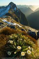 Mt Cusack, Fiordland National Park, New Zealand.
