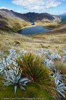 Acheron Lakes, Livingstone Mountains, Southland, New Zealand.