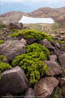 NEW ZEALAND 2014. Olivine Range, Aspiring National Park, Te Wahipounamu World Heritage Area.