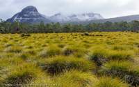Buttongrass plain and Mt Ossa, Cradle Mountain - Lake St Clair National Park, Tasmanian Wilderness World Heritage Area.