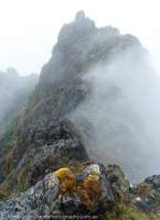 Mist around south summit, Mt Scorpio, Star Mountains, Papua New Guinea.