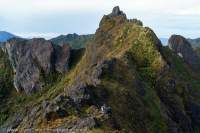 Southern summit of Mt Scorpio, Star Mountains, Papua New Guinea.