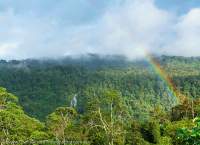 Rainbow over forest below the Hindenburg Wall, Papua New Guinea.