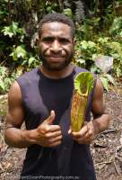 Clement and pitcher plant, Star Mountains, Papua New Guinea.