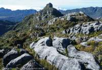 Outlying pinnacle of Mt Capella, Star Mountains, Papua New Guinea.