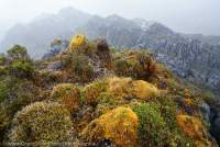 Mossy knoll & limestone karst west of Mt Capella, Star Mountains, Papua New Guinea.