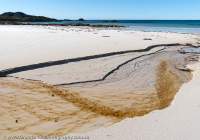 AUSTRALIA, Tasmania, Rocky Cape National Park. Anniversary Bay.