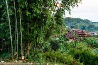 Palaung village in northern Shan Highlands.