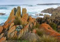 Sandy Cape, Tarkine region, Tasmania