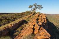 Buka Rockhole,  Urrampinyi Iltjiltjarri Aboriginal land trust area, Northern Territory, Australia
