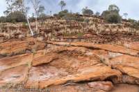 Sandstone, Areyonja Creek, Urrampinyi Iltjiltjarri Aboriginal land trust area, Northern Territory, Australia