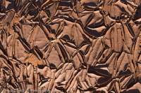 Peeling dry mud, Walker Creek, Urrampinyi Iltjiltjarri Aboriginal land trust area, Northern Territory, Australia