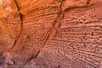 Tafoni (alveolar weathering), Walker Gorge, Urrampinyi Iltjiltjarri Aboriginal land trust area, Northern Territory, Australia