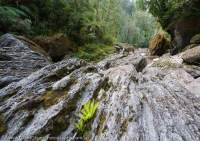 Salisbury River gorge, Southwest National Park, Tasmanian Wilderness World Heritage Area