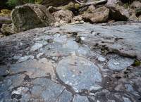 Coralline limestone, Salisbury River gorge, Southwest National Park, Tasmanian Wilderness World Heritage Area