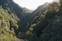 Rainforest gorge, Northwest Tasmania
