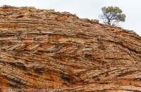 Cross-bedded sandstone, Watarrka National Park (Kings Canyon), Northern Territory, Australia