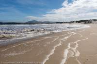 Beach foam, Nye Bay, Southwest National Park, Tasmanian Wilderness World Heritage Area