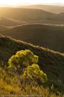 Sorell-Birches catchment, Tasmanian Wilderness World Heritage Area