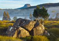 Cradle Mountain - Lake St Clair National Park, Tasmanian Wilderness World Heritage Area, Australia